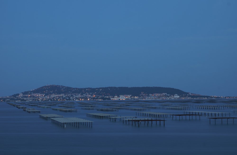 DSC04726 02 ouioui.jpg