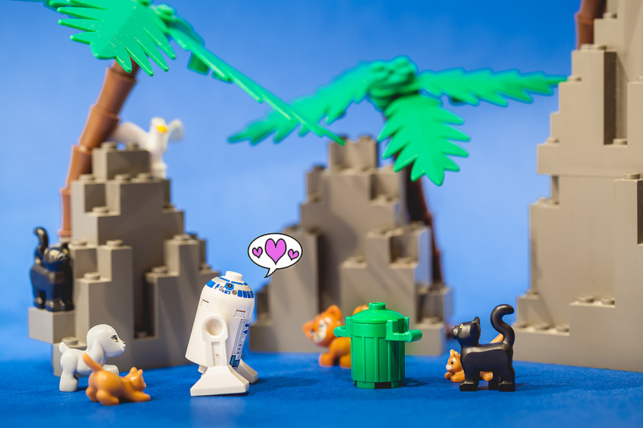 900_Lego_1300.jpg