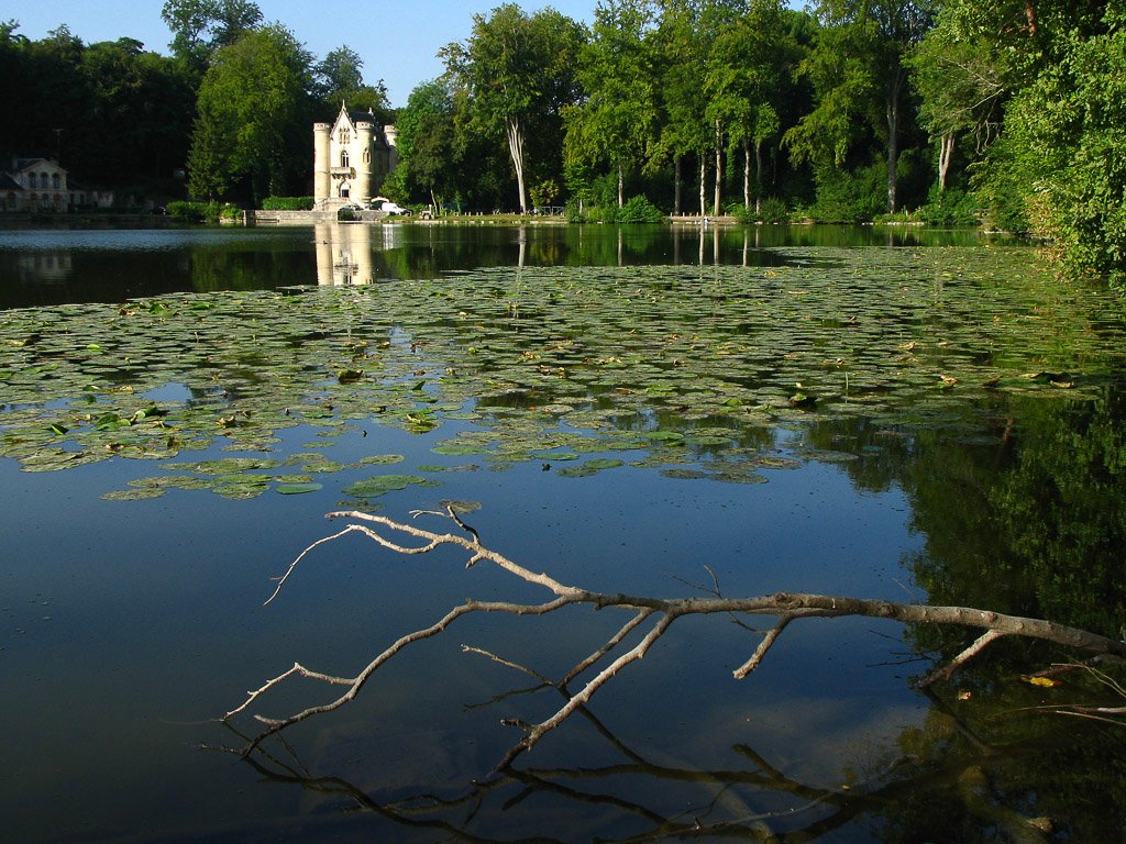 20090812-005-4.jpg