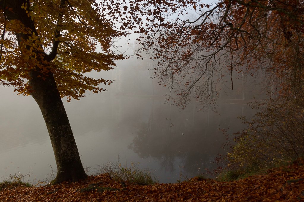 20151101-1916.jpg
