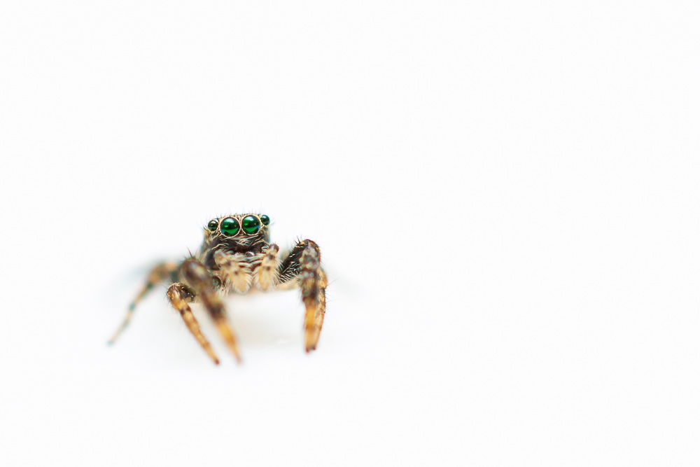 18052019-IMG_5345.jpg