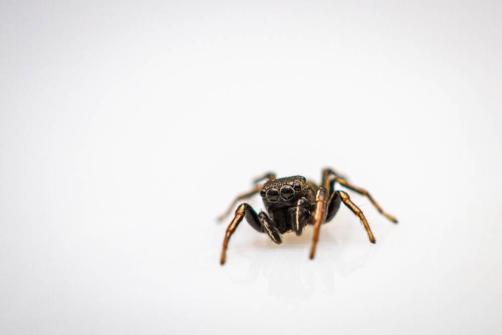 18052019-IMG_5364.jpg