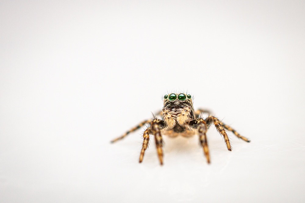 18052019-IMG_5365.jpg