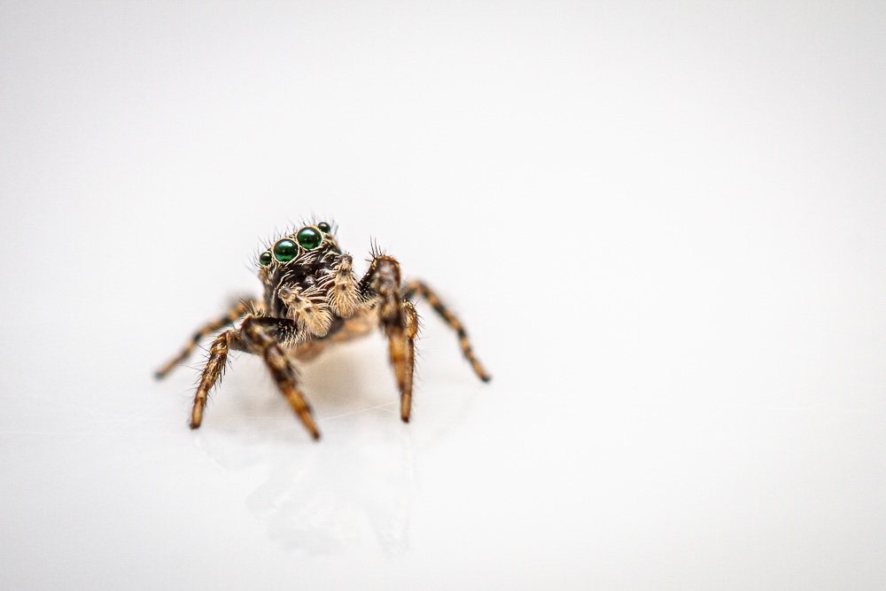 18052019-IMG_5378.jpg