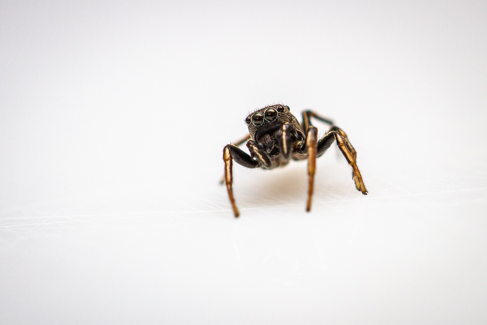 18052019-IMG_5379.jpg