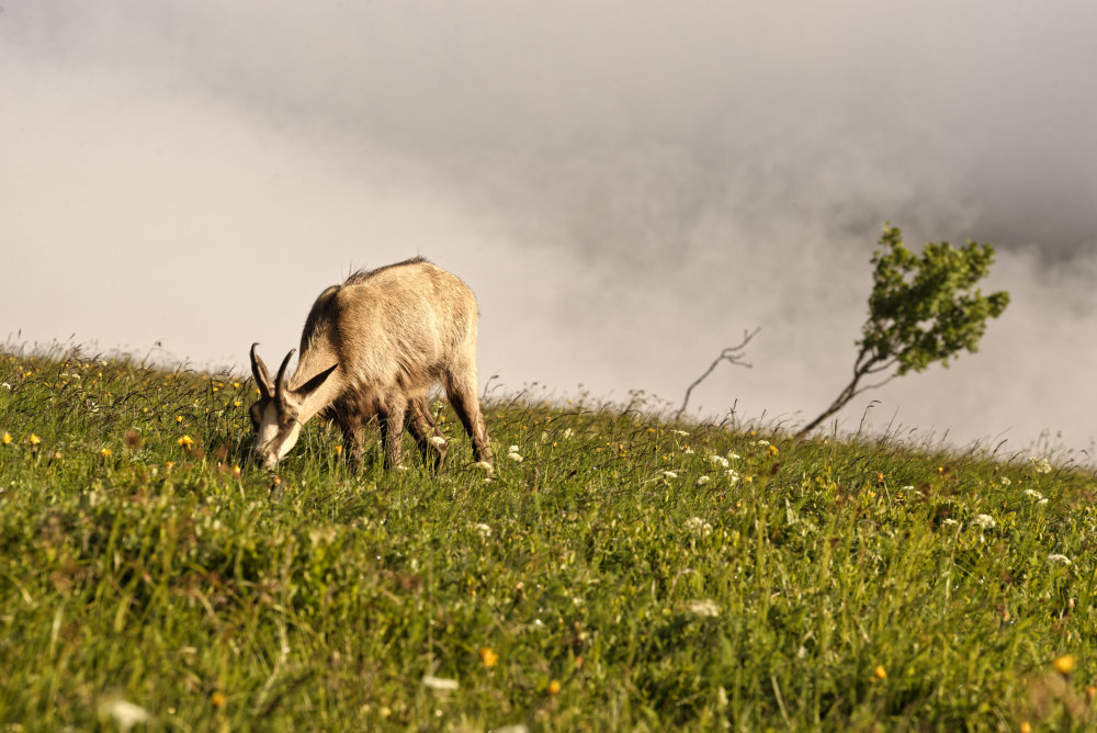 _DSC9550_DxO.jpg
