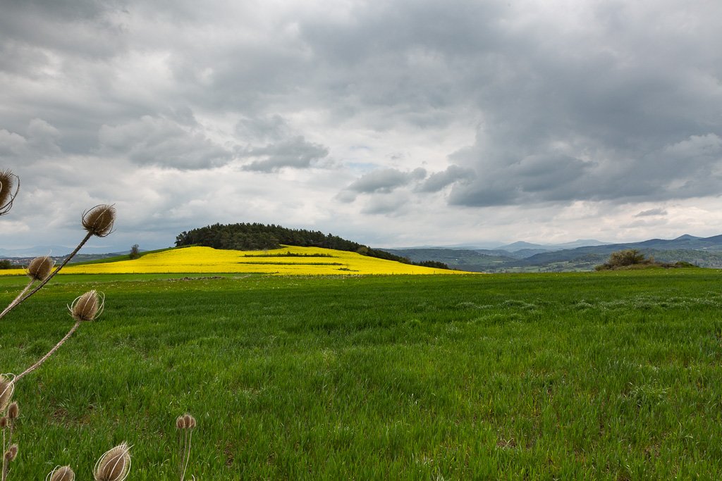 5D3_4053.jpg