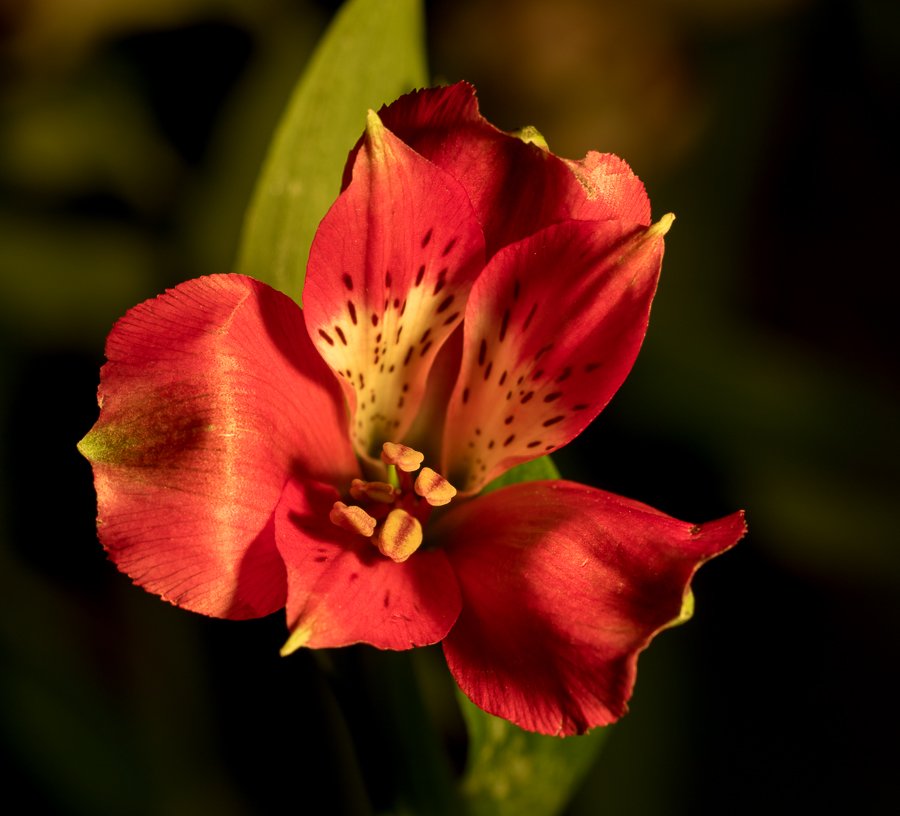 452A6756.jpg