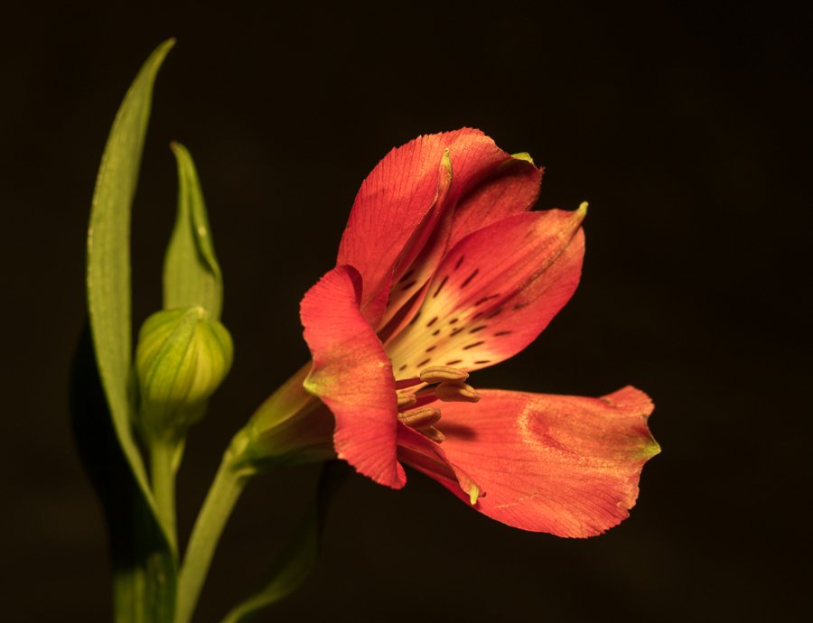 452A6765.jpg