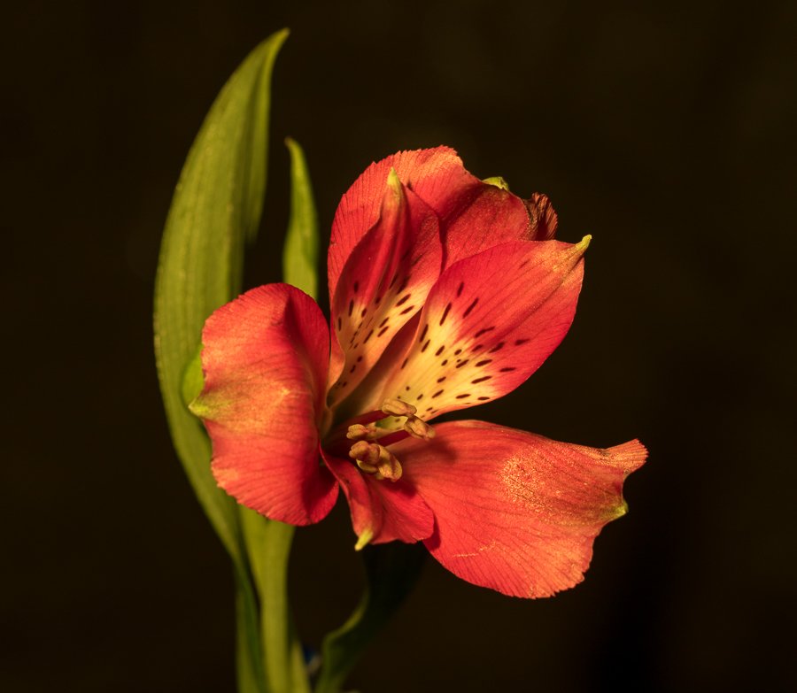 452A6767.jpg