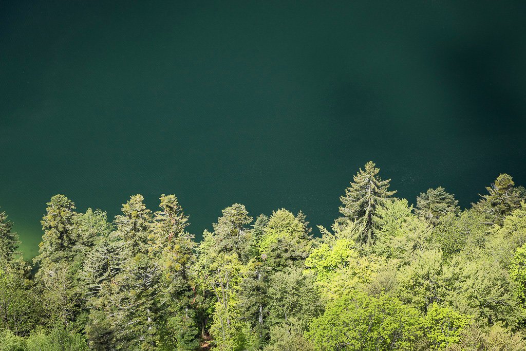 20160515-5290.jpg