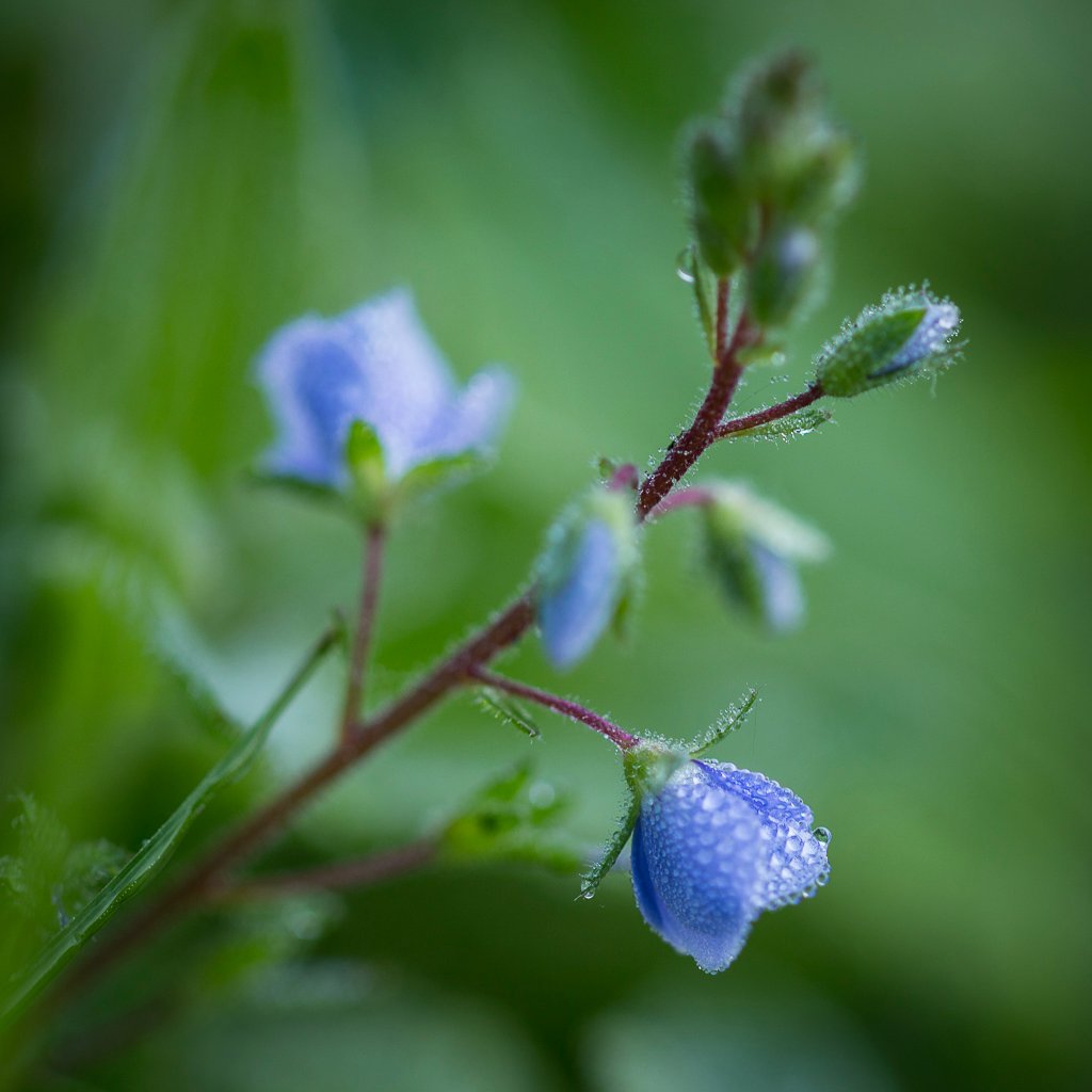 20160518-5440.jpg