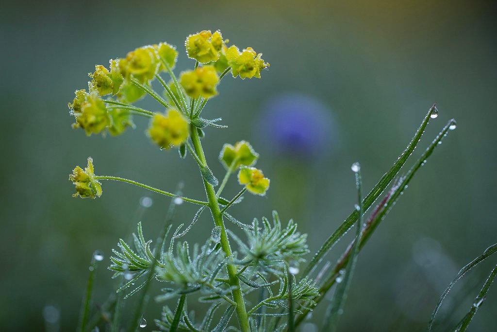 20160518-5443.jpg