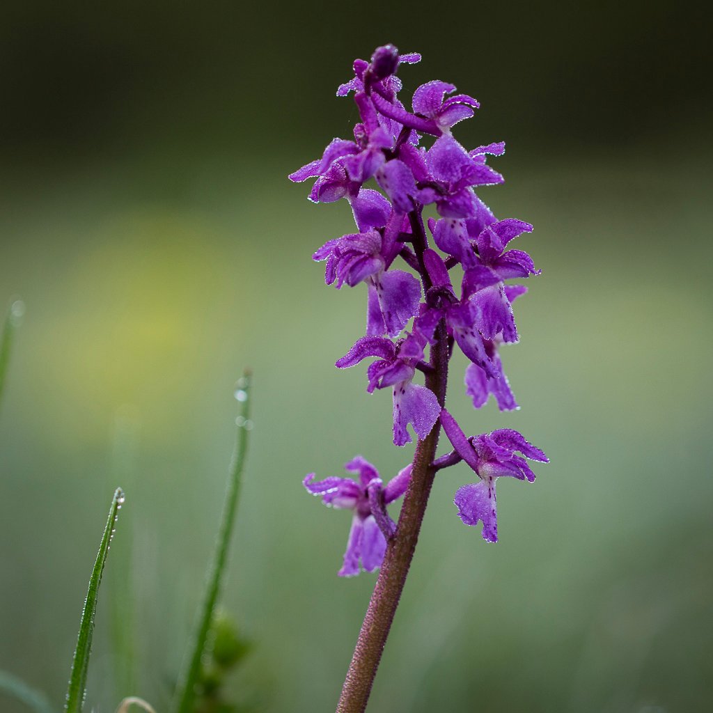 20160518-5451.jpg