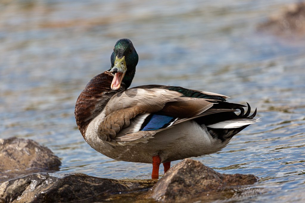 5D3_4300.jpg