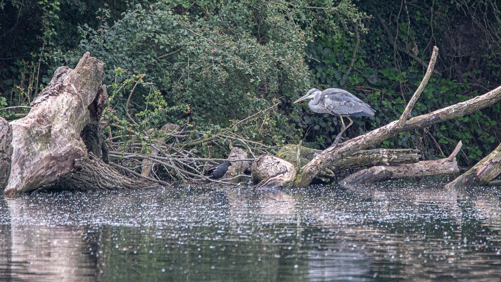 DSC_6964.jpg