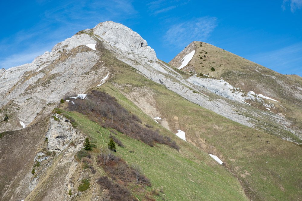 _DSC7463.jpg