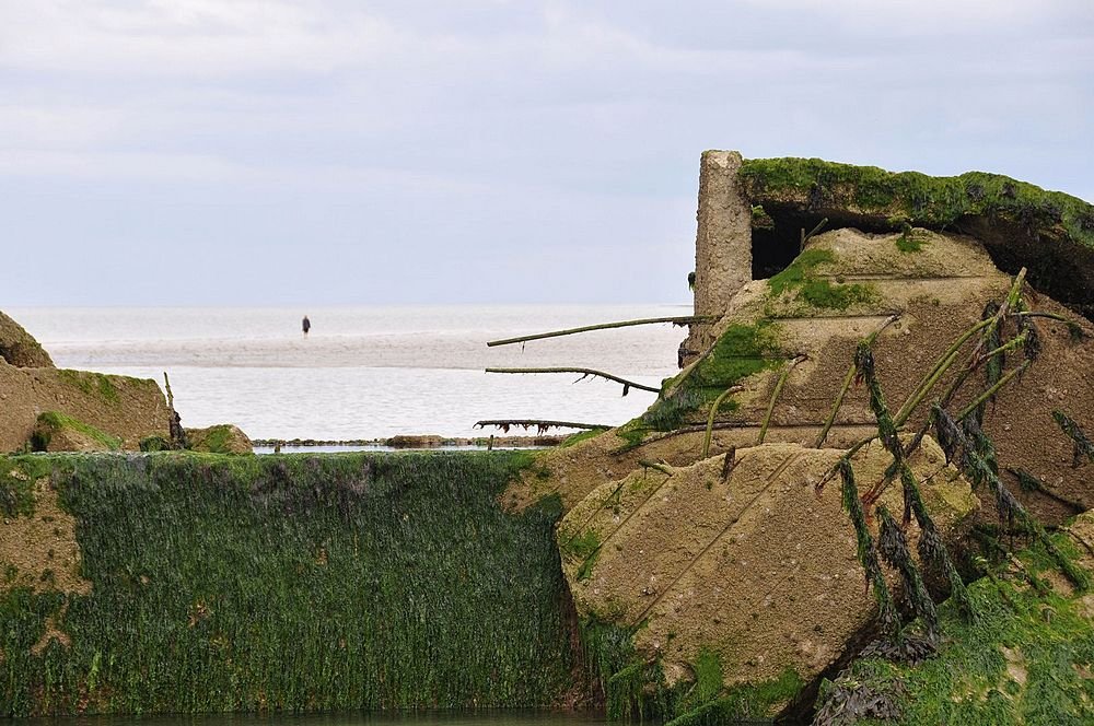 DSC_5000.jpg