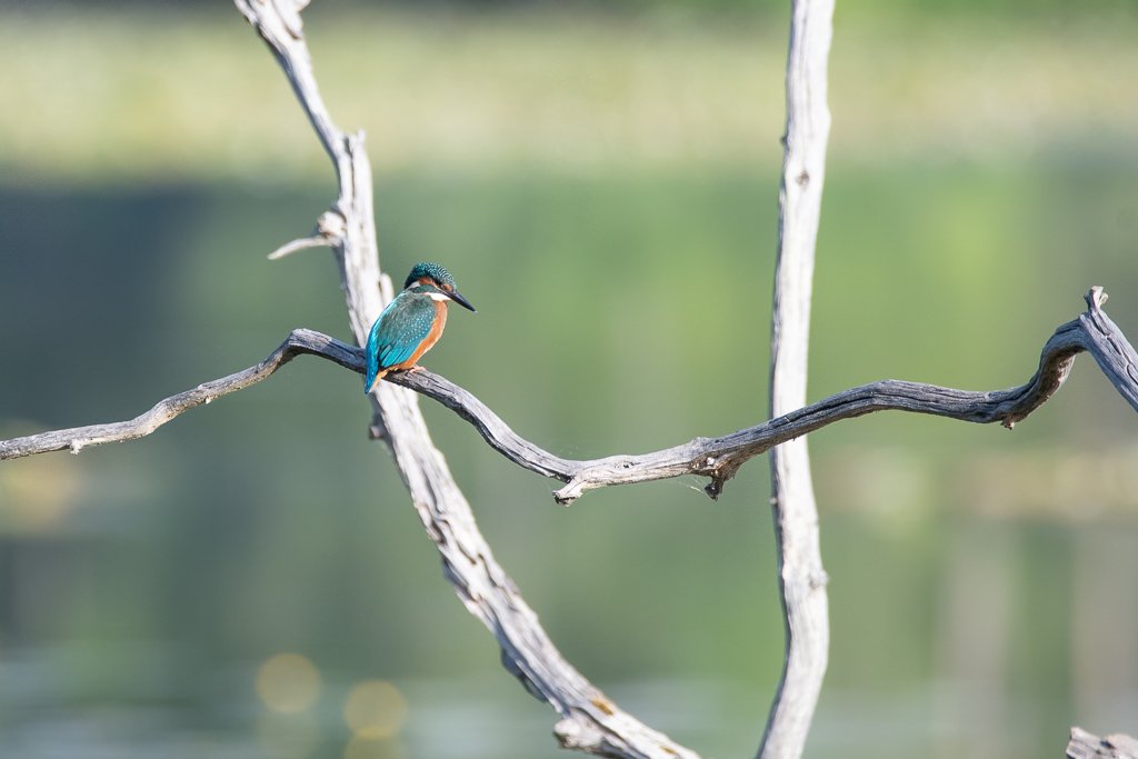 DSC_8261.jpg