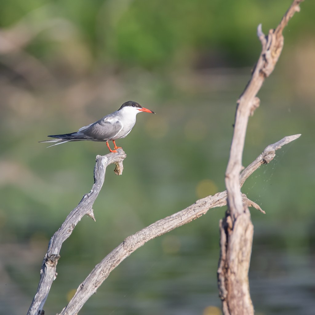 DSC_8163.jpg