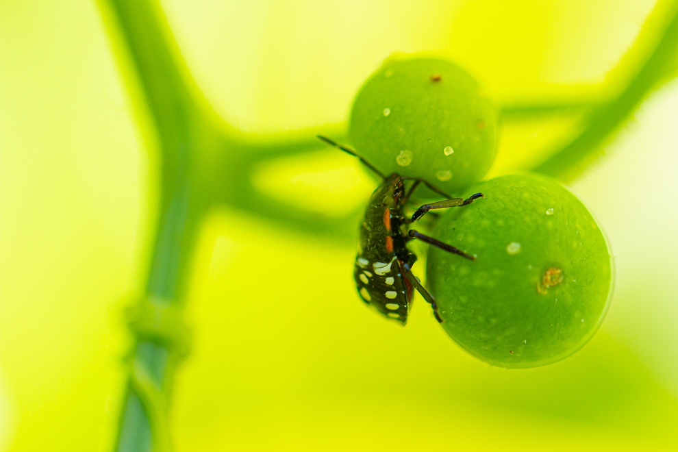 01072019-IMG_6496.jpg