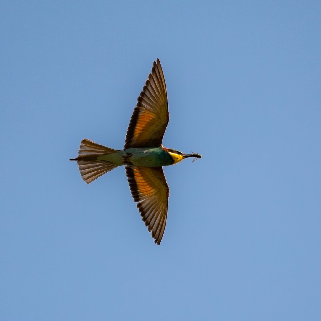 5D3_5977.jpg
