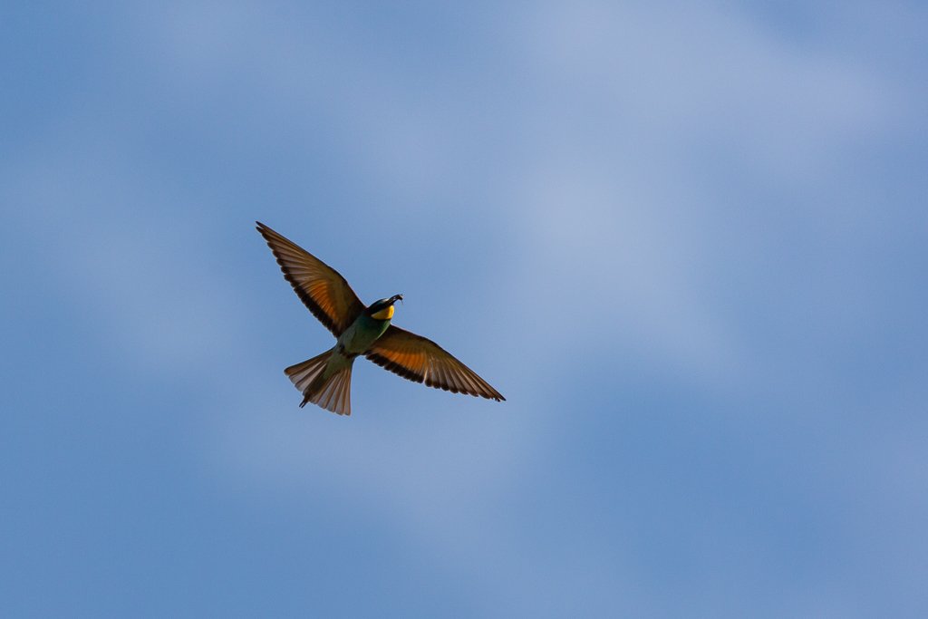 5D3_5974.jpg