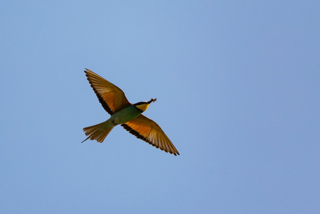 5D3_5978.jpg