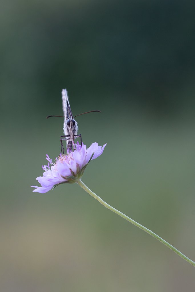 5D3_6050.jpg