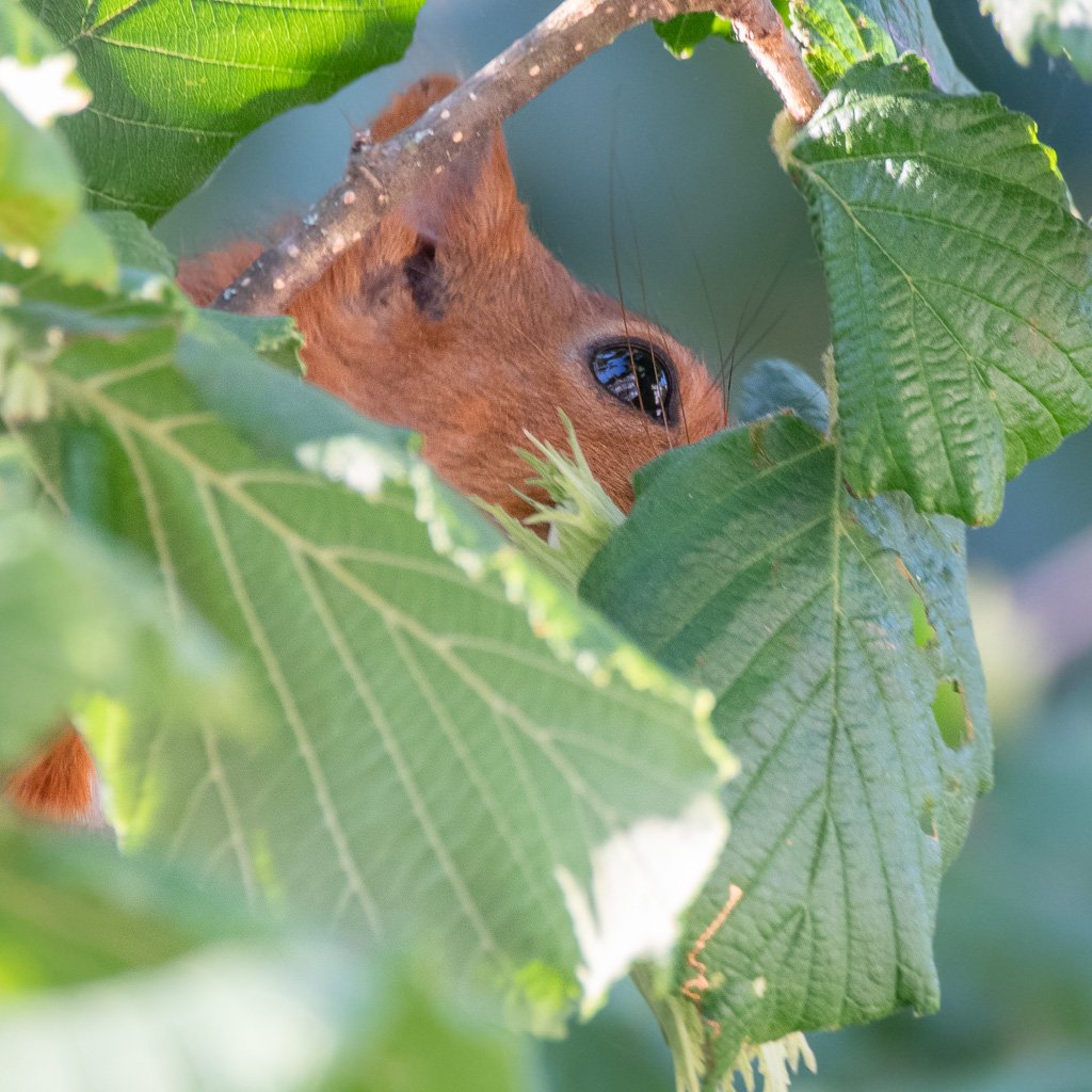 DSC_9089.jpg