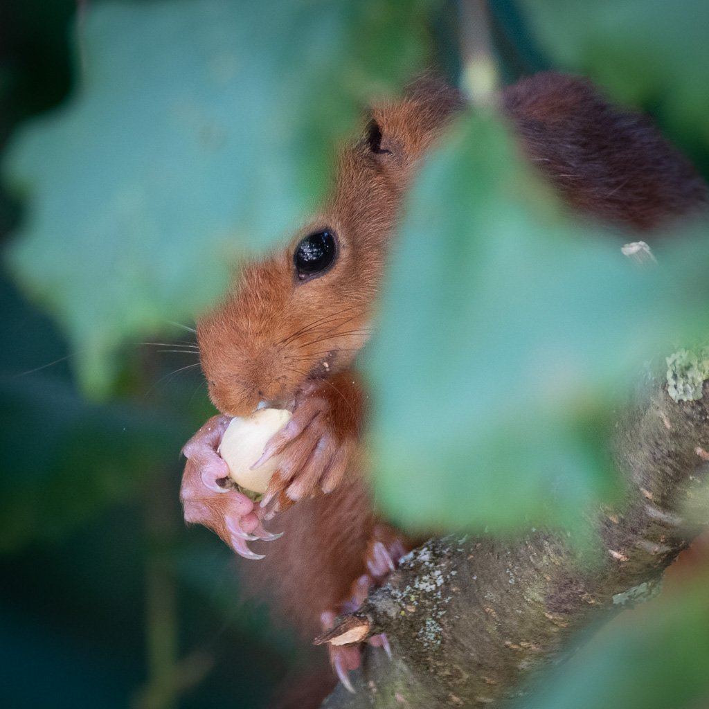 DSC_9075.jpg