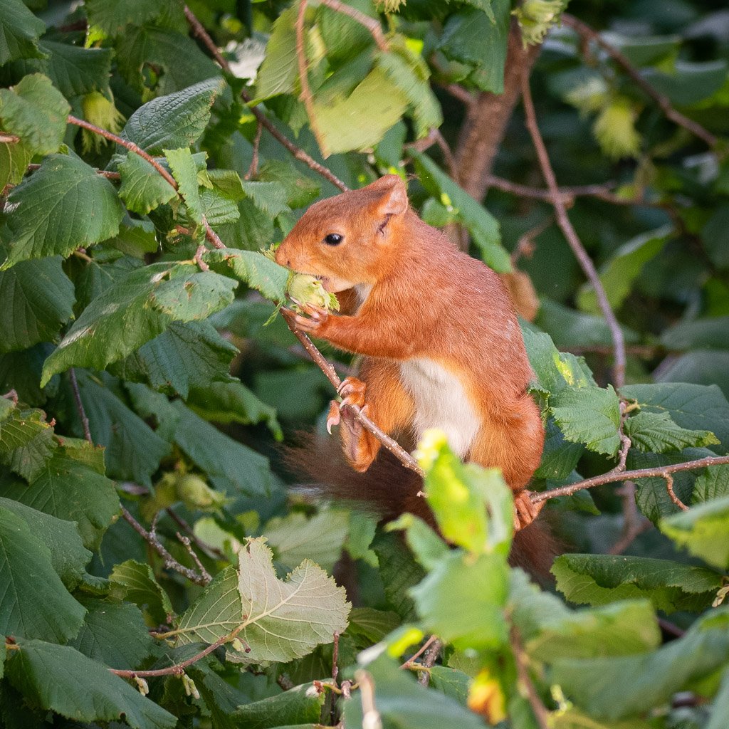 DSC_9381.jpg