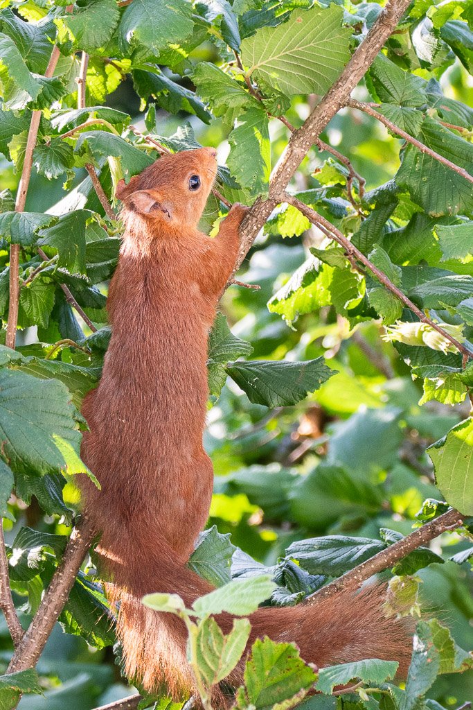 DSC_9472.jpg