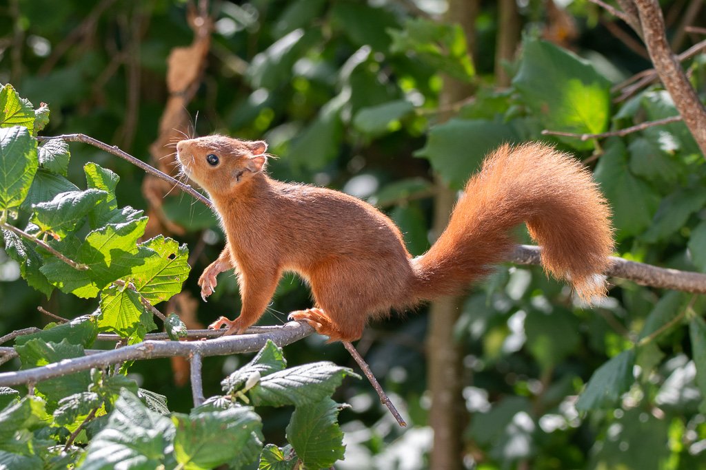 DSC_9552.jpg