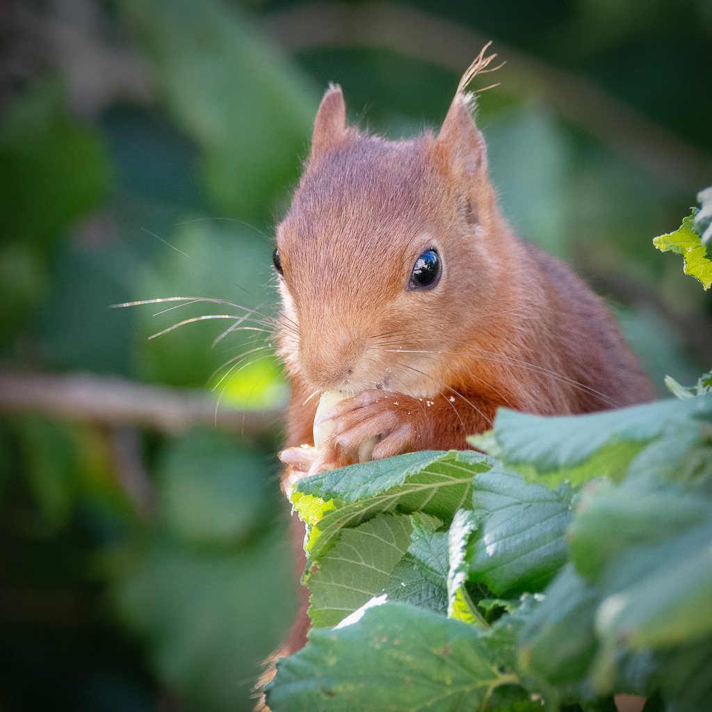 DSC_9490.jpg