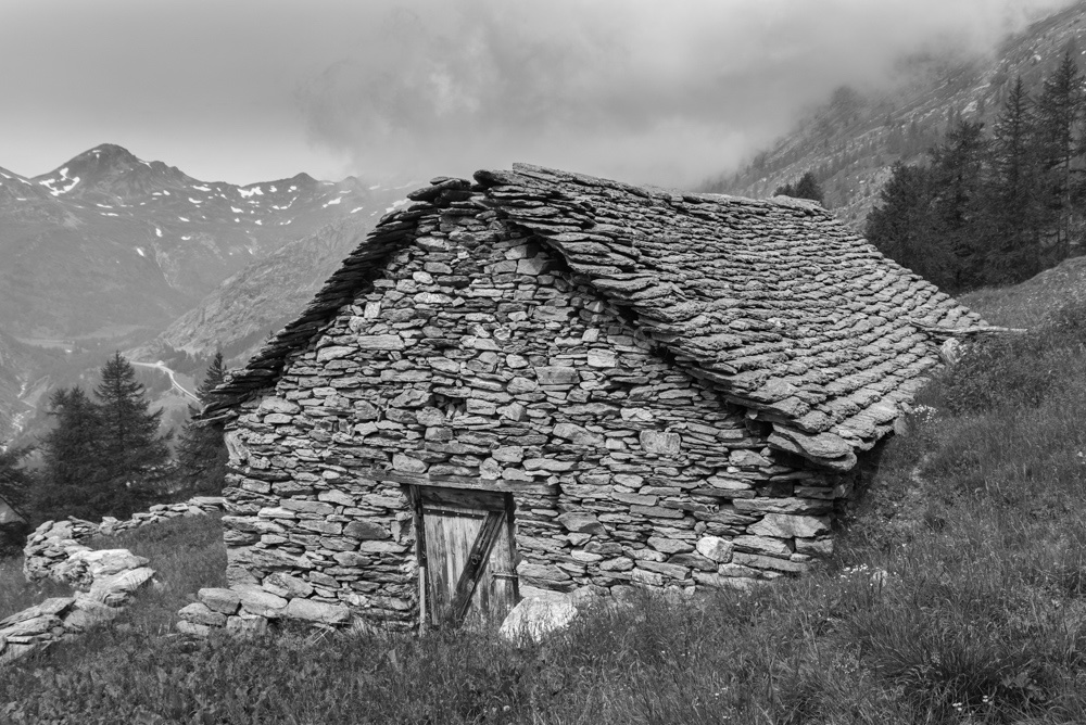 DSC_0826.jpg