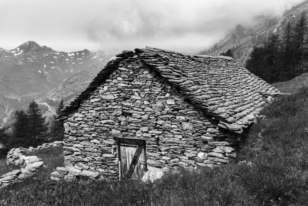 DSC_0826_vynce.jpg