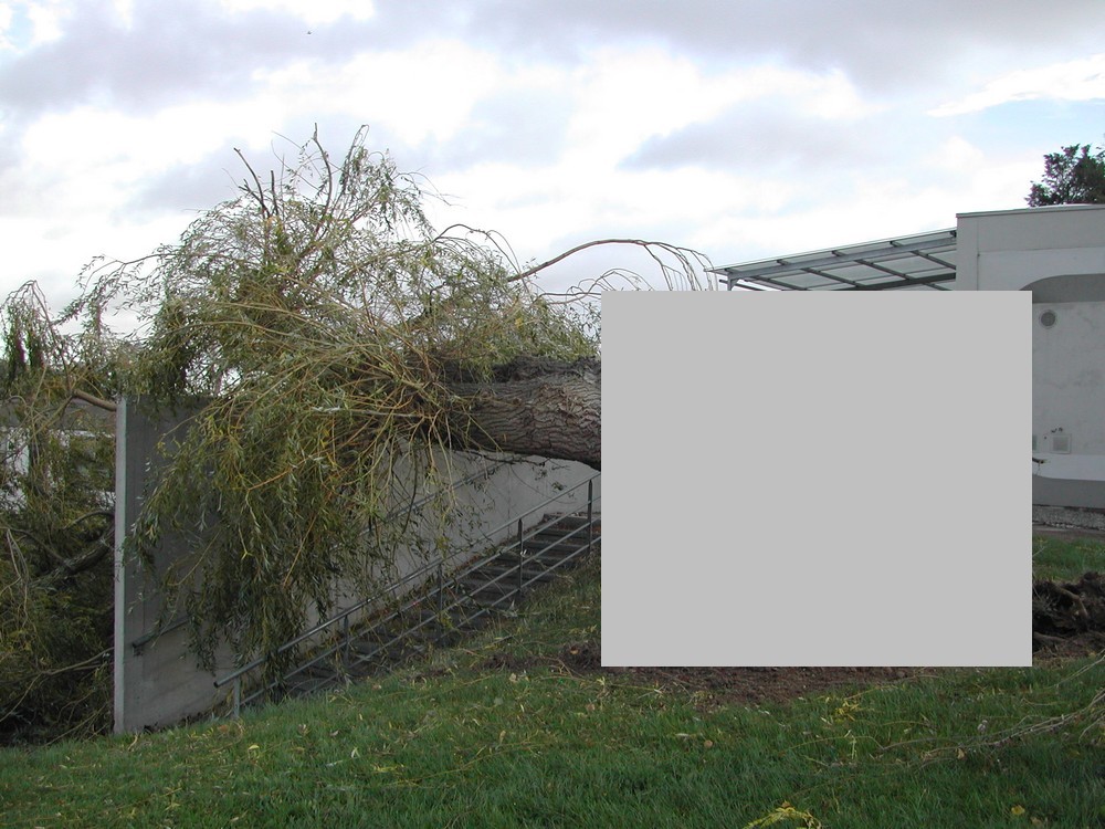 DSCN5703 - Copie.JPG