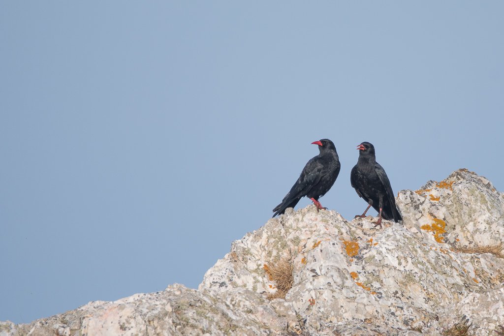 DSC_1053.jpg