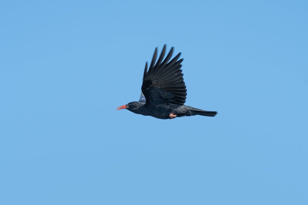 DSC_0670.jpg