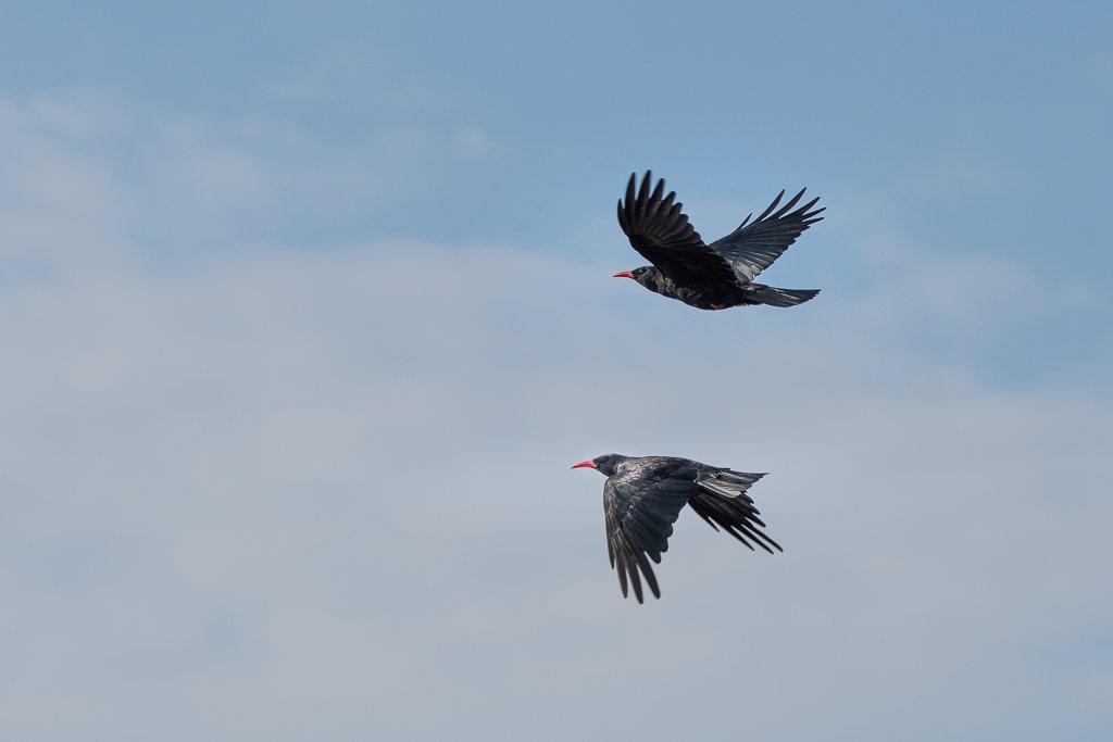 DSC_0716.jpg