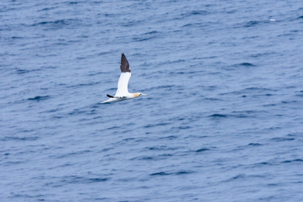 DSC_6427.jpg