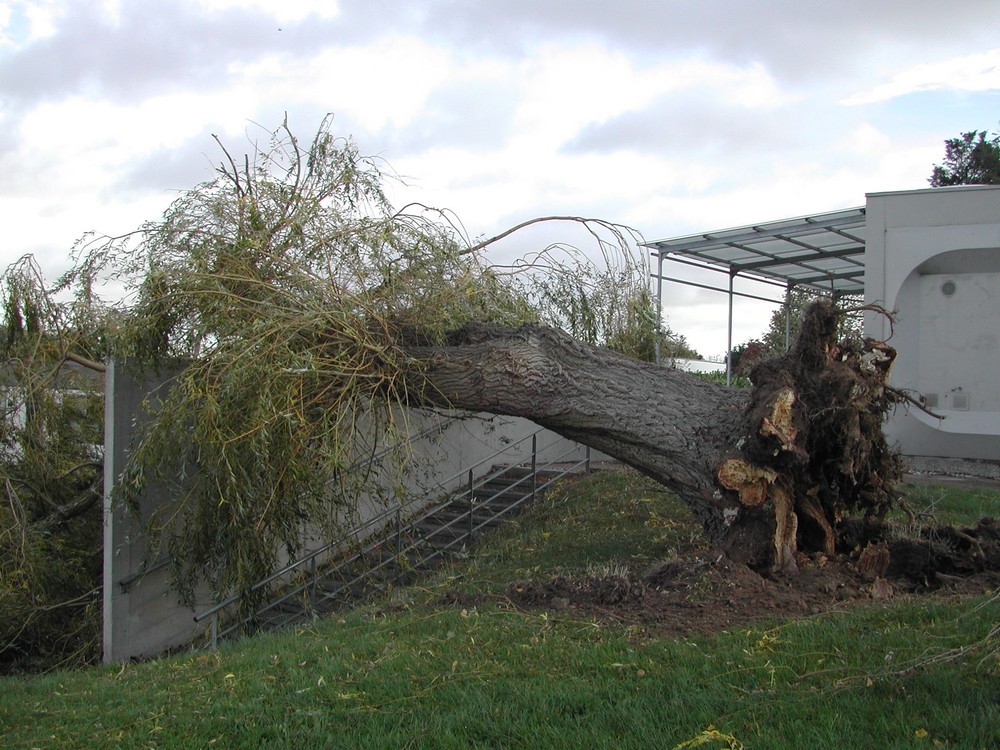 DSCN5703 - Copie (2).JPG