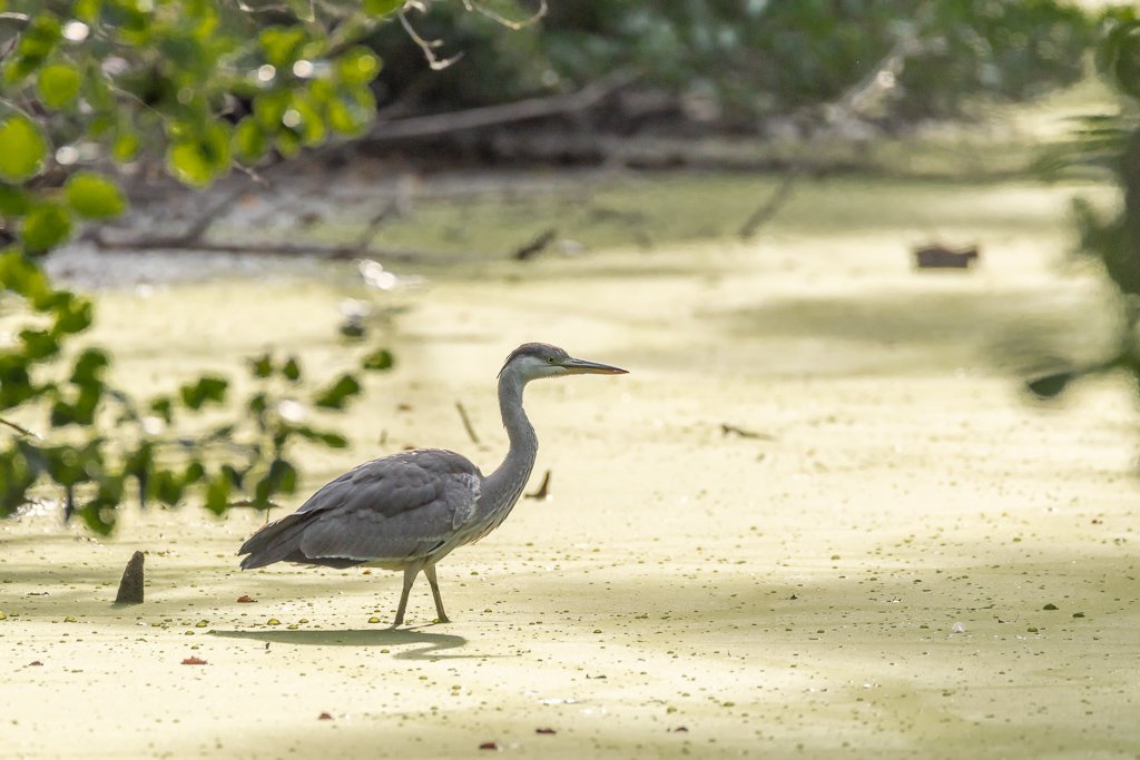 DSC_2183.jpg