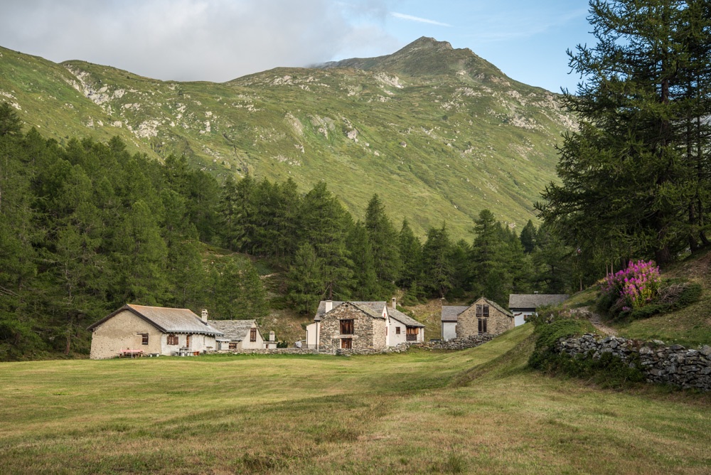 DSC_0870.jpg