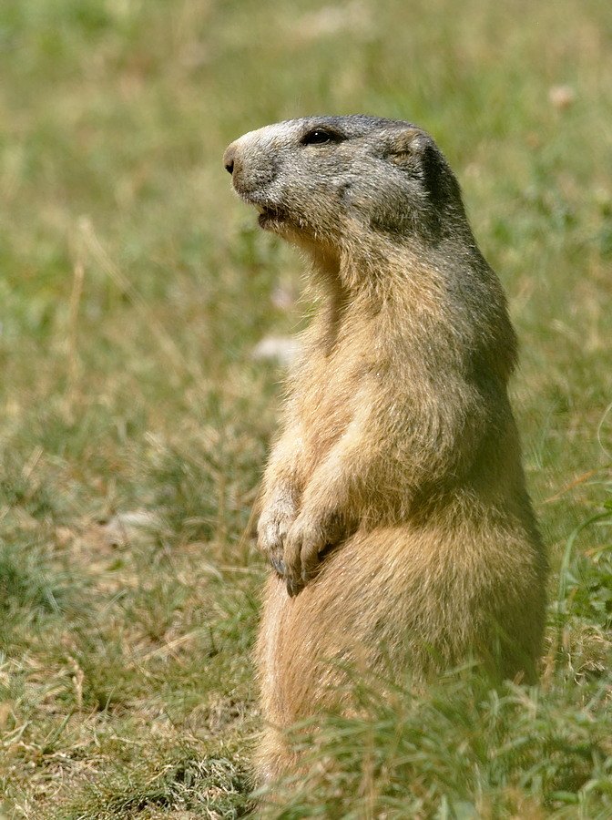 P8090295.jpg