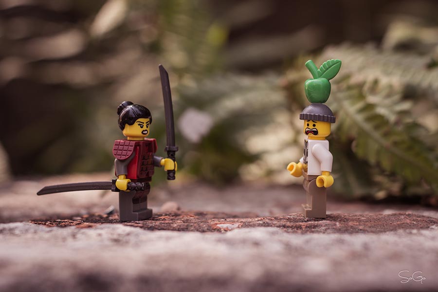 IMG_7966-1-30.jpg