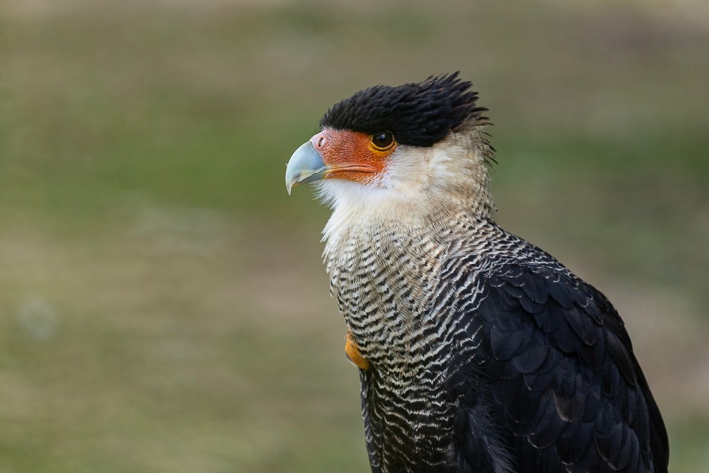 20190910-2377.jpg