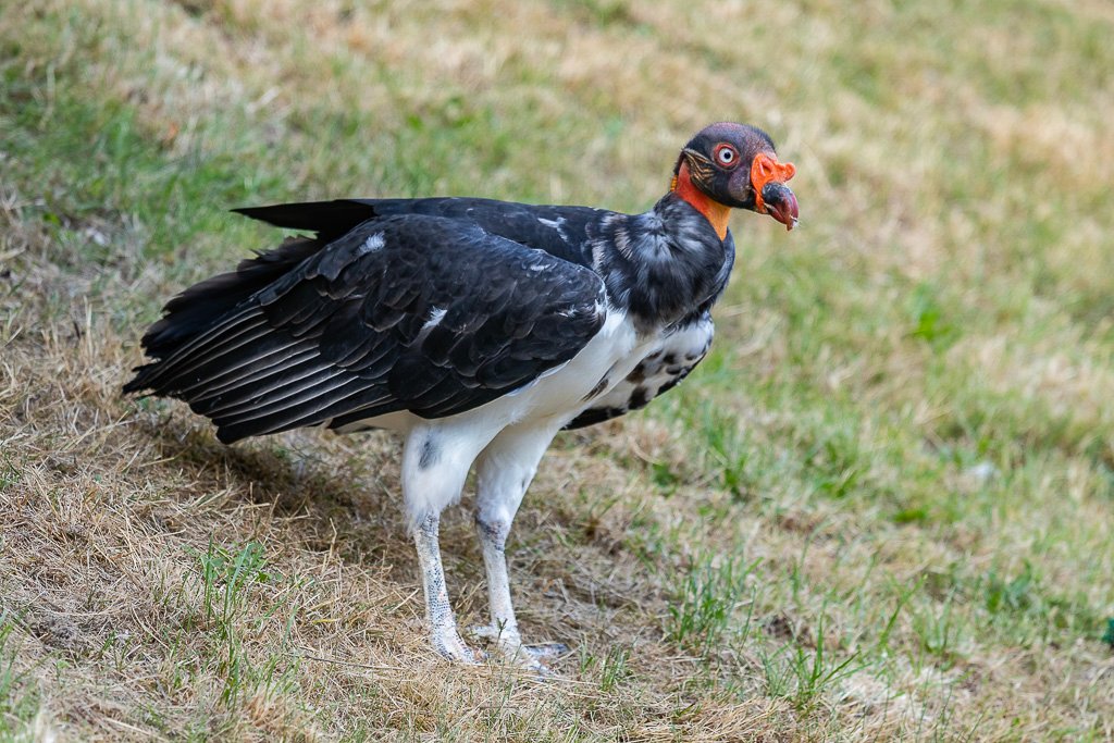 20190910-2362.jpg