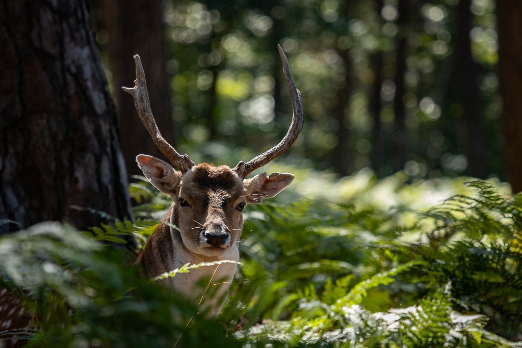 20190910-2264.jpg